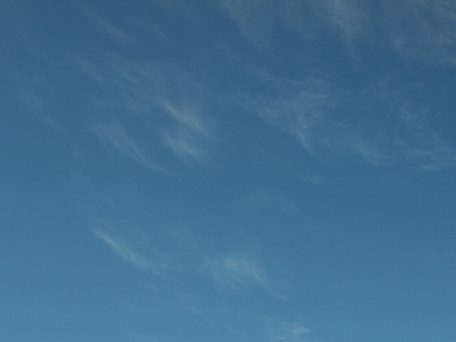 polar2.gif